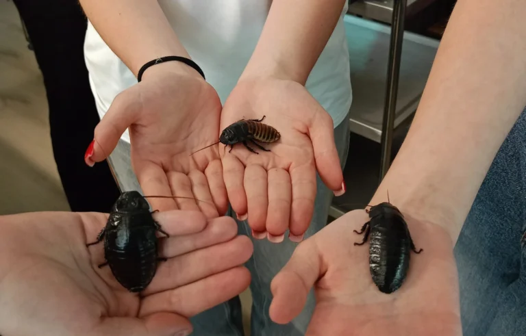 Wycieczka do Bydgoszczy