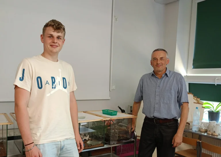 Szkolna hodowla patyczaków